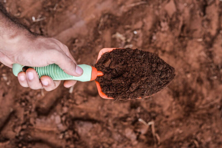 Soil Testing_StudyProbe