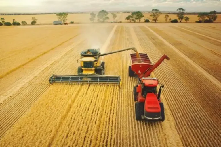 drone-image-of-harvesting