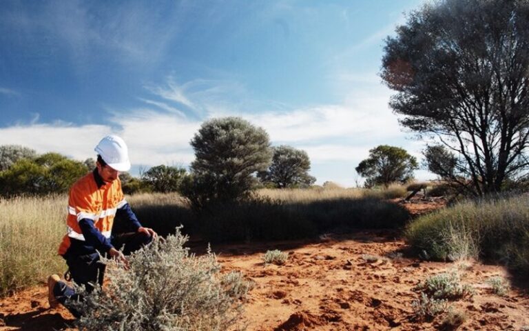 Toro-Energy-ASX-TOE-uranium-Wiluna-Lake-Maitland