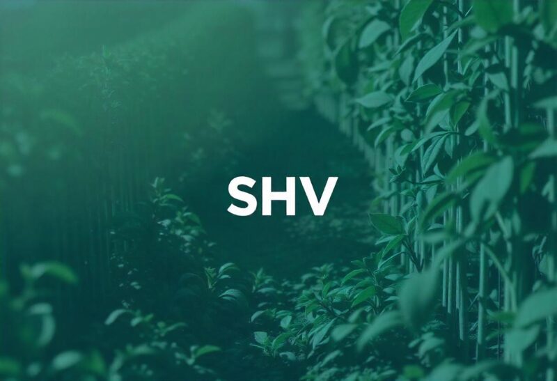 select-harvests-asx-shv-completes-institutional-offer-shv